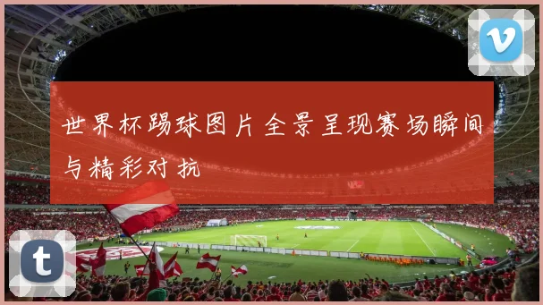 世界杯踢球图片全景呈现赛场瞬间与精彩对抗